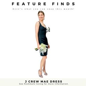 J Crew Mae Dress